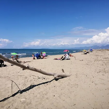 La Graziosa In Wifi Parcheggio Gratuito Self Check-in Zona Guercio *