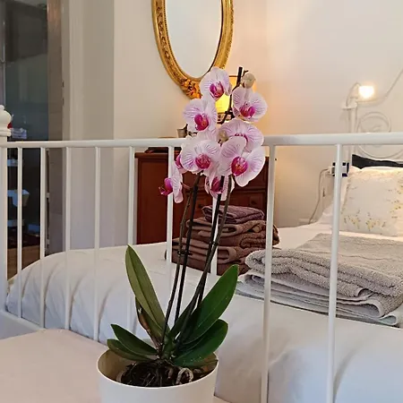 La Graziosa Guercio Extra Comfort Parcheggio Gratuito Mare E Natura Fra Liguria E Toscana *
